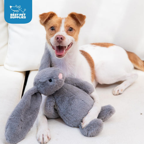 Best Pet Supplies Interactive Bunny Buddy Dog Toy with Crinkle and Squeaky Enrichment for Small and Medium Breed Puppies or Dogs, Cute and Plush -...