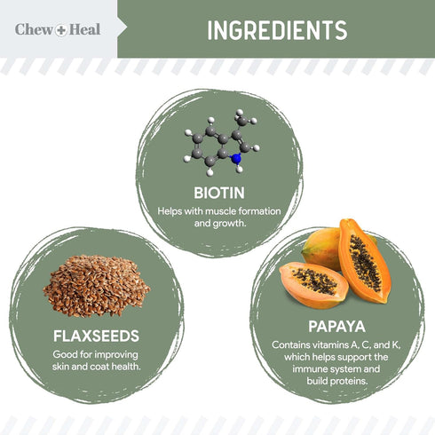 Chew + Heal All in 1 Dog Vitamin - 60 Soft Chew Treats - Chewable Multivitamin with Probiotics, Digestive Enzymes, for Skin and Coat, Hip and Join...