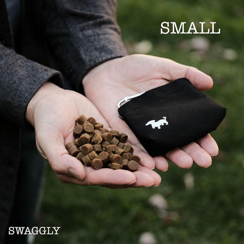 Pocket Sized Dog Treat Pouch - Treat Pouches for Pet Training - Small Dog Treat Pouch with Magnetic Closure - Dog Walking Treat Bag for Dog Traini...