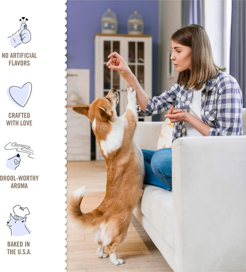 Three Dog Bakery Soft Baked PB&J Bites, Peanut Butter & Strawberry Flavor, Premium Treats for Dogs, 13 Ounce Box, brown (320035)...