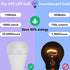 LED Light Bulbs 100 Watt Equivalent A19 LED Bulbs Daylight 5000K, 15W 1600LM Super Bright, E26 Base, Energy Saving Lightbulbs for Living Room Bedr...