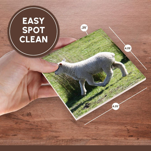 3dRose CST_22806_3 Skipping Sheep Golden Bay New Zeal & Ceramic Tile Coaster (Set of 4)...