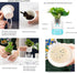 7 Inch Self Watering Pots,Clear Self-Watering Planters Box for Indoor Plants Flowers Outdoor Windowsill Gardens Comes with 1 Bag of White Pebbles...