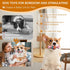 Dog Chew Toys for Small Dogs Toothbrush Stick Teeth Cleaning Brush Dental for Aggressive Chewers, Durable Interactive Dog Toys, Rubber Dog Toys fo...
