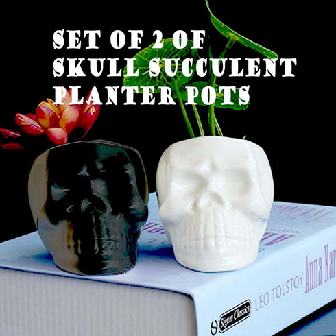 2PCS White and Black Skull Succulent Planter Pots Set, Creative Plant Lover Gifts Cactus Plant Pot Pen Pencil Holder for Home Office Decor (Black ...
