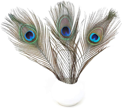 12 PCS Real Natural Peacock Eye Feathers 10-12 inch for DIY Craft, Wedding and Holiday Decorations...