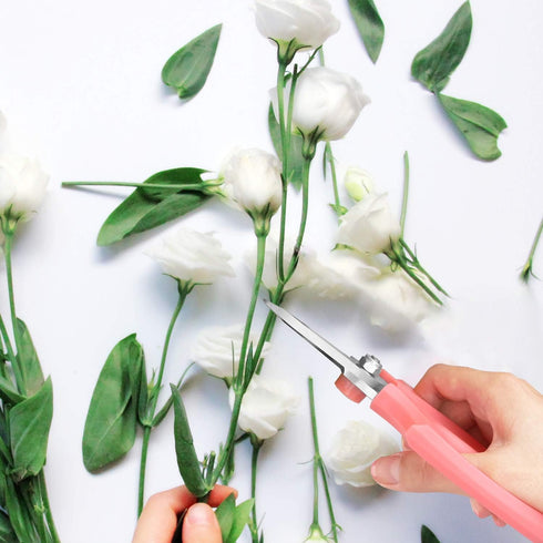 Flower Scissors, Strong Floral Shears, Premium Steel Garden Pruning Shears Floral Fruits Leaf Scissors Hand Pruner Snip Trimming Tool for Gardenin...