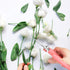 Flower Scissors, Strong Floral Shears, Premium Steel Garden Pruning Shears Floral Fruits Leaf Scissors Hand Pruner Snip Trimming Tool for Gardenin...