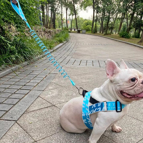 7FT Chew Proof Stretch Dog Leash Cable, Reflective Anti-Pull Shock Absorbing Dog Lead, Lightweight Cute Pet Leash with Soft Wide Nylon Handle for ...