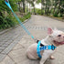 7FT Chew Proof Stretch Dog Leash Cable, Reflective Anti-Pull Shock Absorbing Dog Lead, Lightweight Cute Pet Leash with Soft Wide Nylon Handle for ...