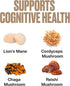 VitaHustle Super Mushroom Mood + Mind Focus Gummies, Lions Mane Mushrooms, Reishi, Chaga, Cordyceps, Vegan, Low Sugar, Non GMO, Cherry Flavor, 50 ...