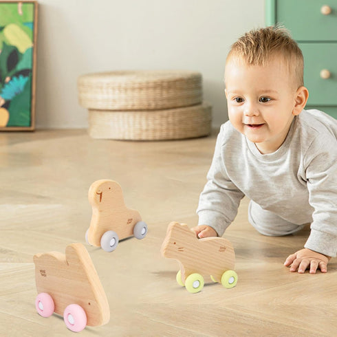 Wooden Baby Toys Car for Toddlers 1-3, Montessori Toys for Babies 0-6-12 Months, BPA Free, Phthalates Free, PVC Free, Wooden Baby Toys for 1 Year ...