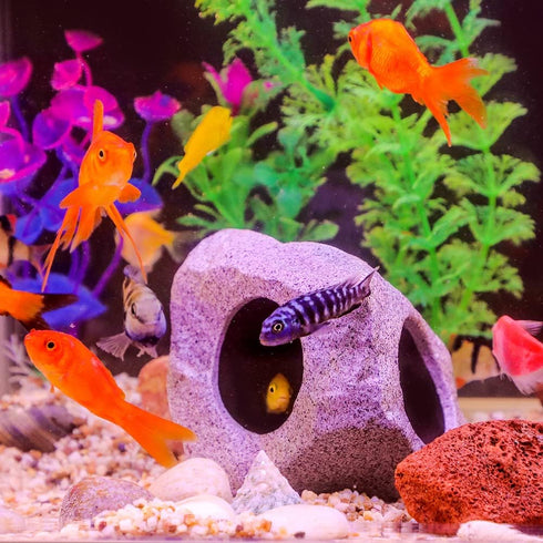 Aquarium Decoration Rock Caves, Hideaway for Shrimp Cichlid Hiding Breeding Spawning, Professional Hideout Decor for Territorial Fish (Mountain to...