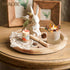 Hanobe Wood Decorative Tray - Round Unfinished Wooden Trays DIY Ottoman Serving Tray Centerpiece Candle Holder for Kitchen Countertop Crafts Art H...