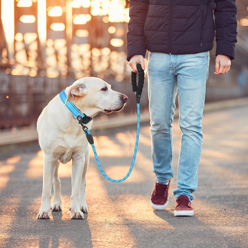 Rope Dog Leash 5 FT for Puppy and Small Dogs,Heavy Duty Dog Rope with Comfortable Padded Handle,Waterproof Dog Leash for Walking,Reflective Nylon ...