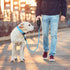 Rope Dog Leash 5 FT for Puppy and Small Dogs,Heavy Duty Dog Rope with Comfortable Padded Handle,Waterproof Dog Leash for Walking,Reflective Nylon ...