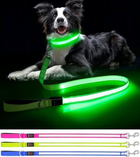 LED Dog Leash - Enhance Safety and Visibility | Reflective 4 FT Leash with Padded Handle | USB Rechargeable Light Up Leash for Dogs | Glow in The ...