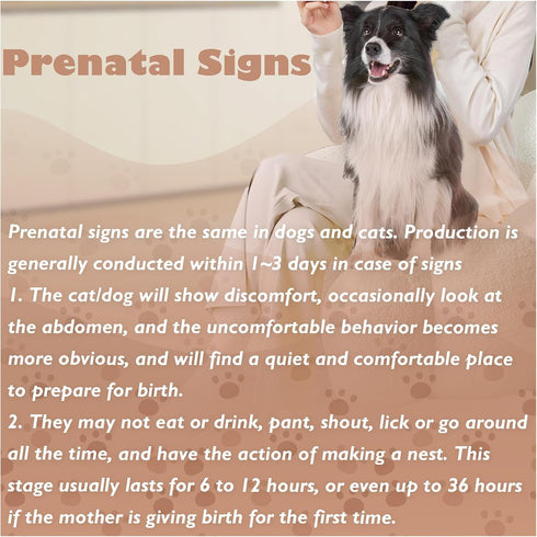 Dog Pregnancy Test Kit at Home, Canine Pregnancy Test Strip for Dog with Buffer Fast and Accurate Detection Pet Clinic Equipment...
