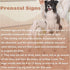 Dog Pregnancy Test Kit at Home, Canine Pregnancy Test Strip for Dog with Buffer Fast and Accurate Detection Pet Clinic Equipment...
