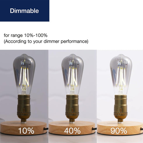 FLSNT LED Edison Bulbs, 5000K White Light Dimmable ST19 LED Light Bulbs, E26 Base,4W(40W Equivalent), CRI82+, 150LM, 6 Pack, Smoky Grey Glass...