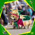 4 Pcs Mardi Gras Dog Costume Mardi Gras Clown Jester High Collar Cape Pet Accessories Set Golden Green Purple Dog Dress up with Mardi Gras Mask Co...