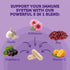 Vitamin Bounty Elderberry Organic Elderberry Capsules for Adults - Elderberry Vitamin C and Zinc Supplement, & Echinacea, Immune System Support, A...