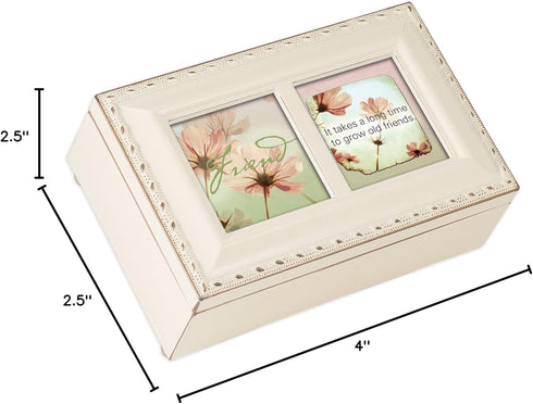 Cottage Garden Friend Takes a Long Time to Grow Matte Ivory Jewelry Music Box Plays What Friends are for...