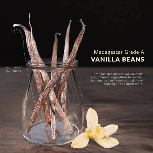 Strongus Madagascar Vanilla Beans - Vacuum Sealed Grade A Vanilla Pods - Rich, Creamy Flavor & Aroma -Great for for Baking, Homemade Extract, Past...