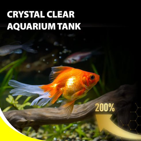 Purify Series for Goldfish Food, Sinking Gold Fish Pellets, All Natural Ingredients, Balanced Composition of fish food, Good for Fins Grow and Col...