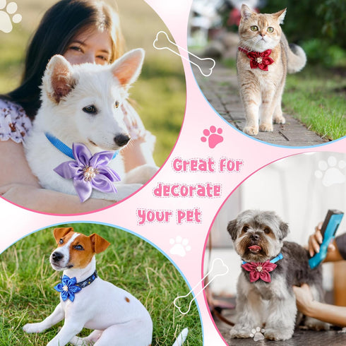 Reginary 20 Pcs Dog Collar Flowers 3.35 Inch Pet Flower Bow Ties Multi Color Dog Flower Dog Collar Bows for Puppy Dog Cat Pet Collar Grooming Acce...