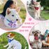 Reginary 20 Pcs Dog Collar Flowers 3.35 Inch Pet Flower Bow Ties Multi Color Dog Flower Dog Collar Bows for Puppy Dog Cat Pet Collar Grooming Acce...