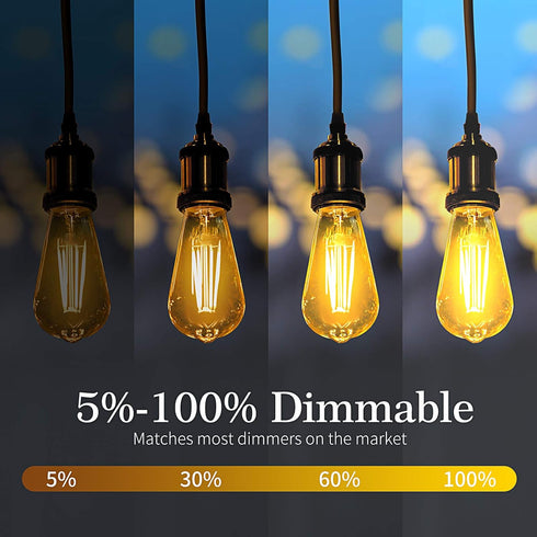 6-Pack 8W Dimmable Edison LED Light Bulbs 100W Equivalent, Vintage ST64/ST21 LED Filament Bulbs with 1000LM, 3000K Soft Warm White Lighting, E26 M...