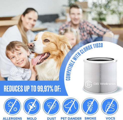 1-Pack Replacement Filter Set Compatible with Clorox 11020 Air Purifier |Medical Grade True HEPA Filter H13 |99.9% removal...