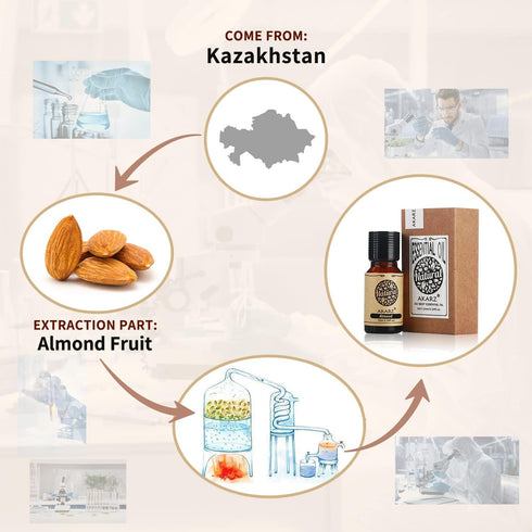 Almond Essential Oil Natural Organic Pure Premium Therapeutic Almond Oil for Skin Body Hair Care,Diffuser, Candle,Soap,Making, DIY,Massage Aroma 0...