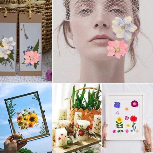 Dried Pressed Flowers?80 Pcs Real Pressed Flowers Dry Leaves Bulk Natural Herbs Kit for Scrapbooking DIY Art Crafts, Epoxy Resin Jewelry, Candle, ...
