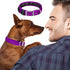 Comfort Fit Soft Padded Dog Collar with Adjustable Buckle - Lightweight, Breathable Dog Training Collar with Customizable Fit - Durable Heavy Duty...