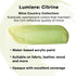 Jacquard Lumiere 2.25oz Fabric Paint Citrine - Metallic Paint for Fabric, Leather, Canvas, Paper and Wood - Light-bodied Metallic Acrylic Paint - ...