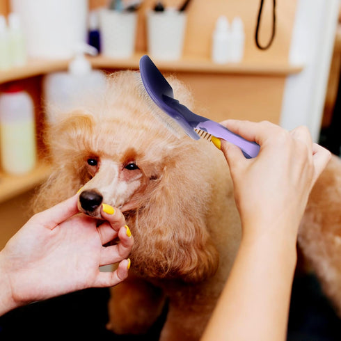 Dog Brush for Poodles-Best Dog Grooming Brush for Poodles Dematting, and Detangle-Dog Brush for Poodles Grooming and Bathing...