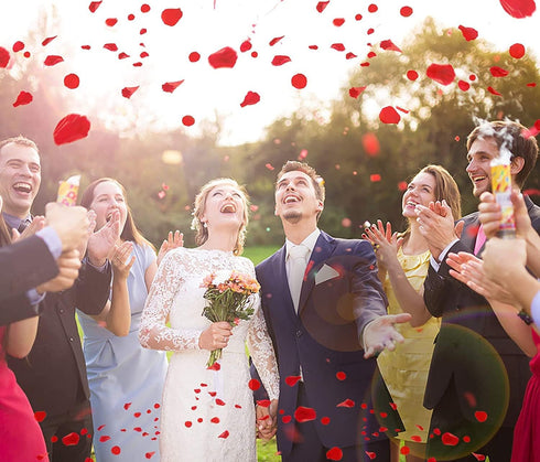 Ouddy Decor 3000 Pcs Rose Petals Artificial Flowers for Valentine's Wedding Decor Romantic Night Bridal Party Home Decorations, Red...