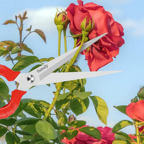 Extra Long Pruning Shears, Gardening Hand Pruners with Stainless Steel Blades, Garden scissors for Arranging Flowers, Trimming Plants, Harvesting ...
