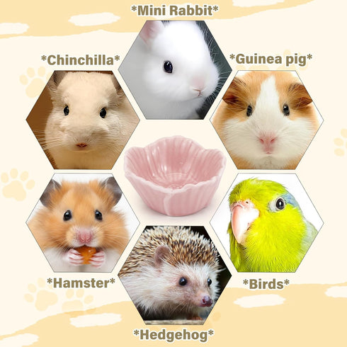 Small Ceramic Pet Hamster Bowl, Easy to Clean Anti Flipping Hamster Food and Water Bowl Feeding Bowl, Small Animal Bowls for Golden Bears, Rabbits...