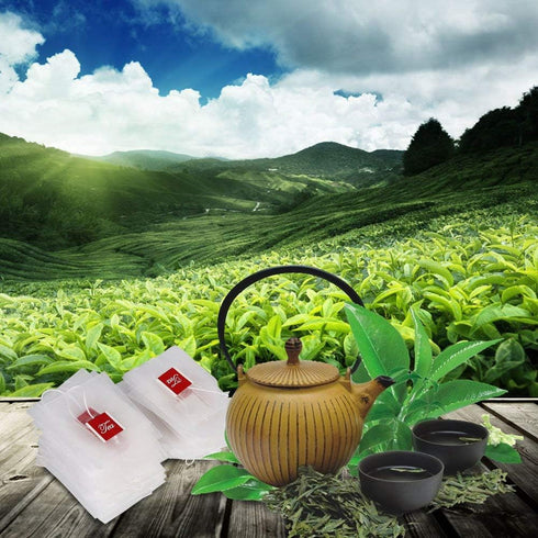 Tea Filter Bag,100Pcs Nylon Empty Tea Infuser Herb Spice Filter Strainer Bags with Drawstring for Household Loose Leaf Tea Coffee Spice Herbs...