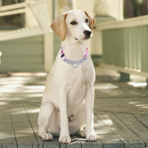 Martingale Collar, Training Dog Collar, Stainless Steel Chain Pet Collar for No Pull Dog Walking Flowers Design Large Medium Small Dogs (XL, Roses...