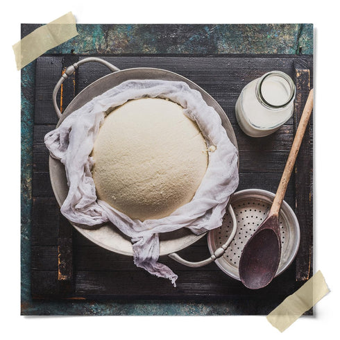 Microbial Rennet For Cheese Making | Vegetarian Rennet Tablets | Milk Coagulant | Vegan Cheese making | Shelf-Stable Rennet Tablets, Perforated Fo...