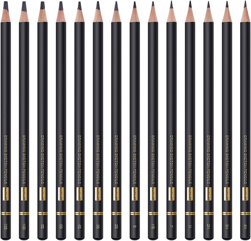Professional Drawing Sketching Pencil Set - 14 Pieces,Graphite,(12B - 4H), Ideal for Drawing Art, Sketching, Shading, Artist Pencils for Beginners...