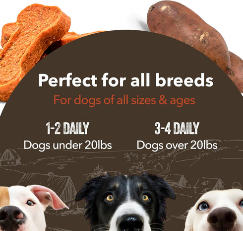 Gaines Family Farmstead Sweet Potato Dog Bones, All-Natural, Grain Free Dog Treats for All Ages & Breeds, Great for Training and Rewards, Made in ...