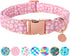 Daisy Summer Cotton Dog Collar with Metal Buckle Gift Pink Collar for Small Medium Large Girls or Boys Dogs Cute Durable Comfortable Pet Collars...