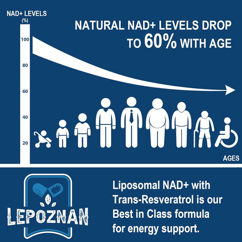 Liposomal NAD+ 500 mg + Trans-Resveratrol 300 mg, Superior Absorption True NAD Supplement Efficient for Cellular Energy Metabolism & DNA Repair, 6...