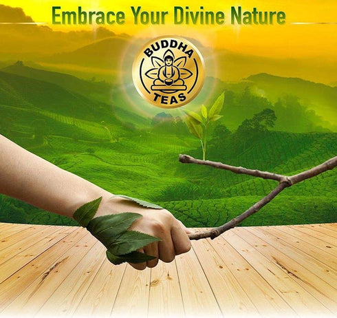 Buddha Teas Organic Blackberry Leaf Tea - OU Kosher, USDA Organic, CCOF Organic, 18 Bleach-Free Tea Bag...