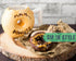 Ceramic Donut Mug - Delicious Chocolate Glaze Doughnut Mug with Sprinkles - Funny "MMM... Donuts!" Quote - Best Cup For Coffee, Tea, and More - La...